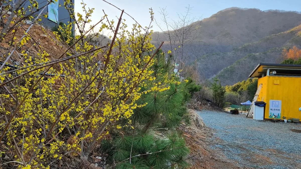 홍천태극캠핑장