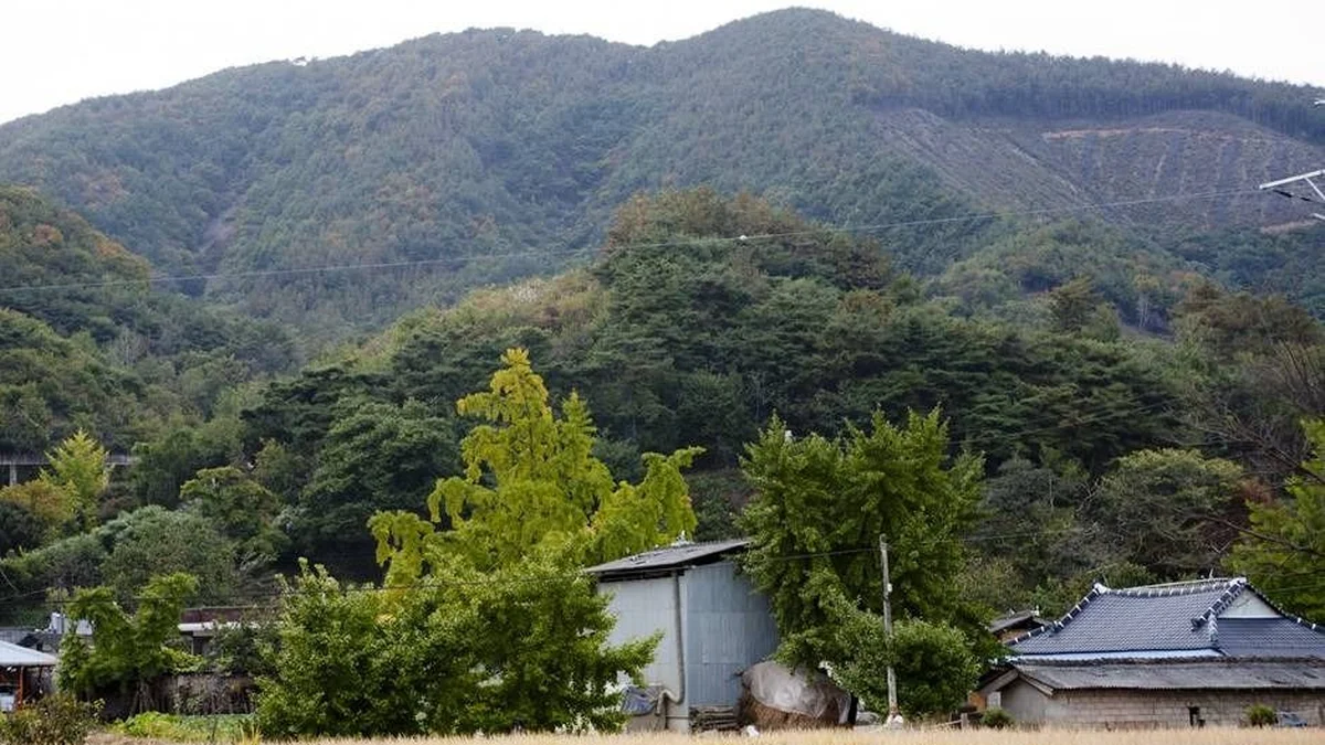 덕재산