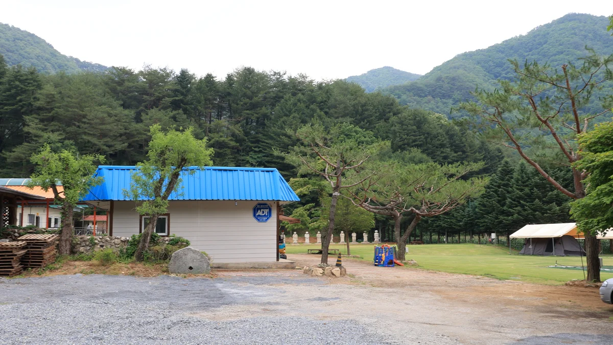 야단법석