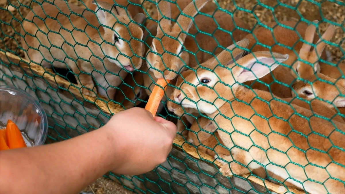 비손농장(포항체험잇다)