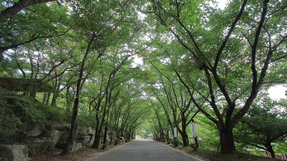 팔공산 국립공원 가산산성 야영장