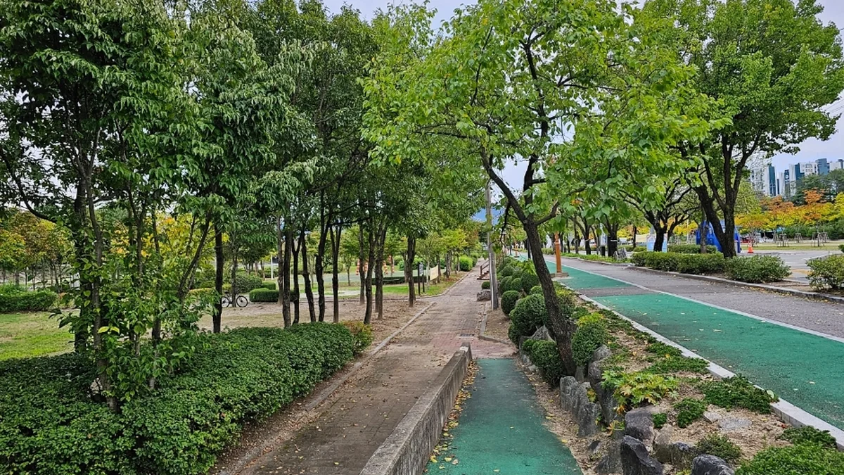청춘양구레포츠공원