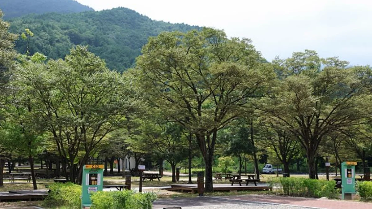 설악동자동차야영장