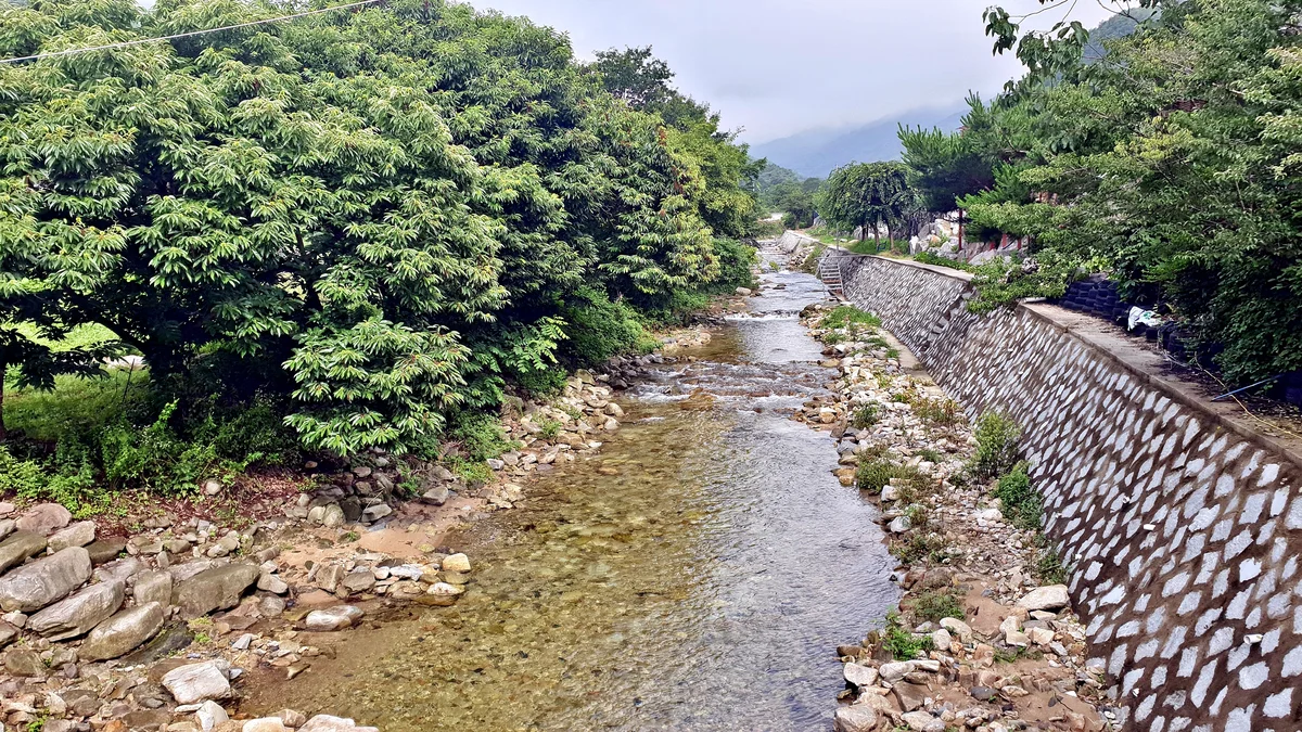 배론의아침