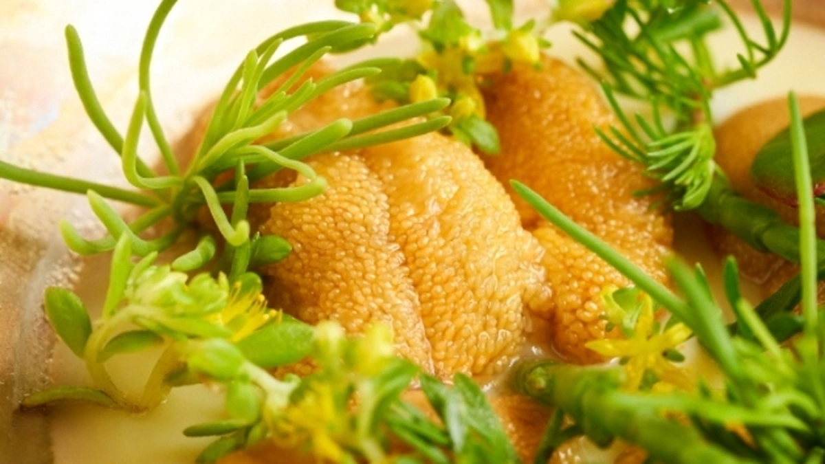에빗