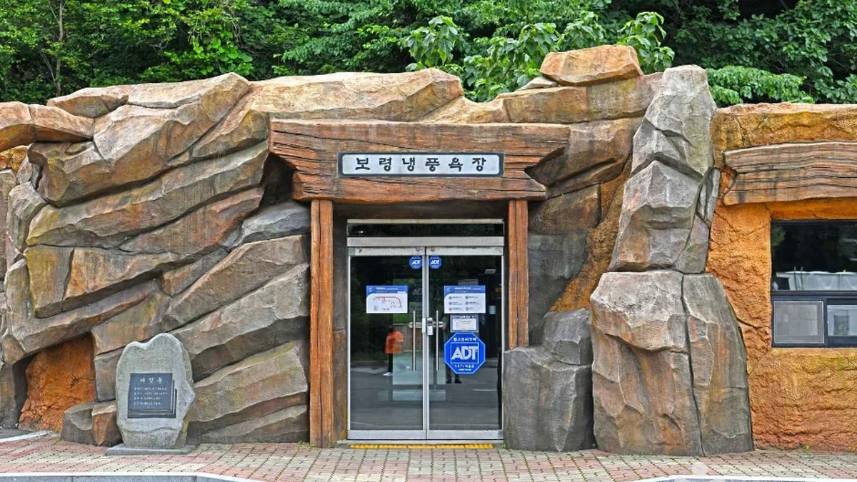 보령 1313캠핑장