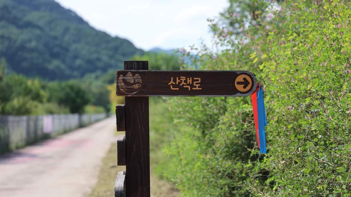 한계령 힐링 캠핑장