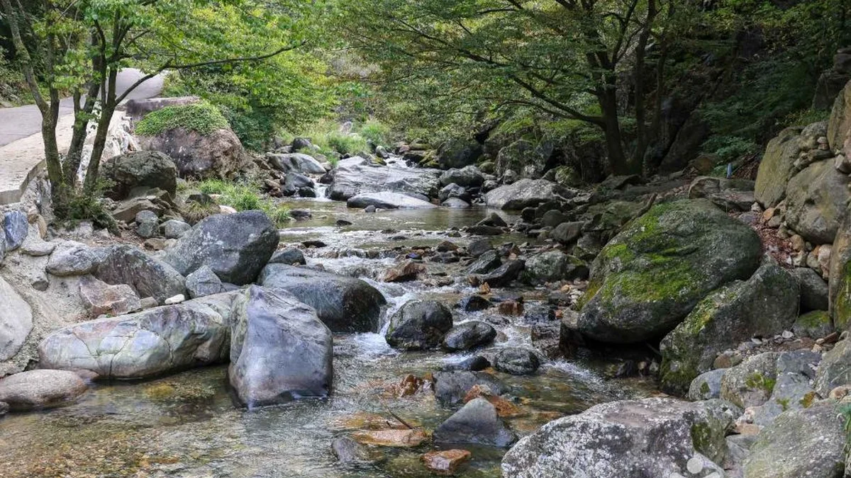 사나사 계곡