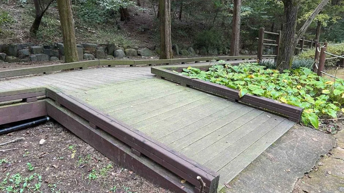 인천대공원 치유숲길