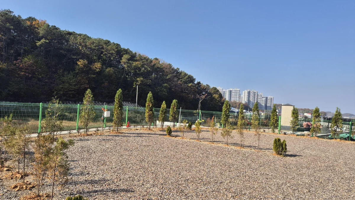 파주 성수캠핑장