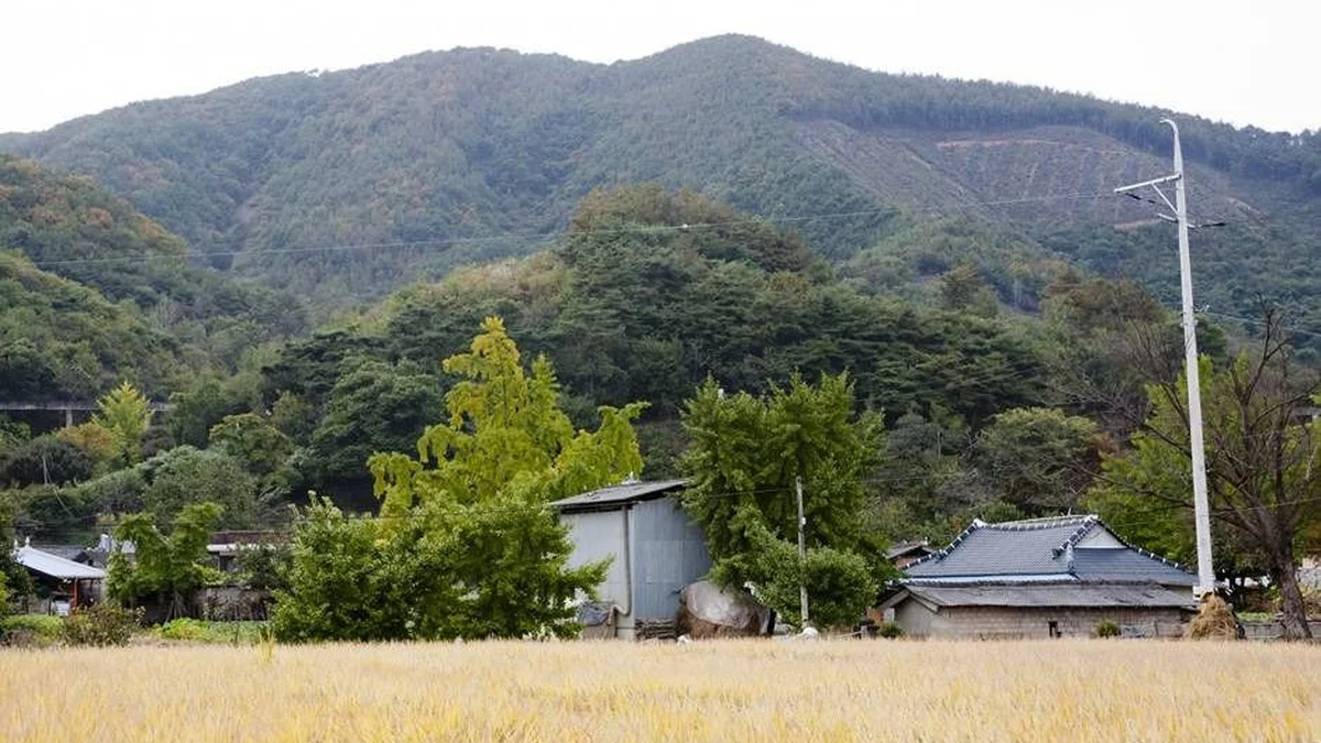 덕재산