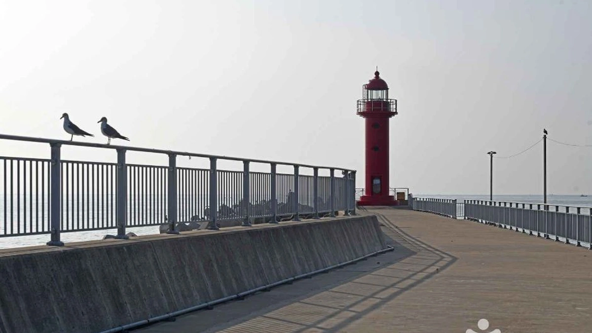 초도항