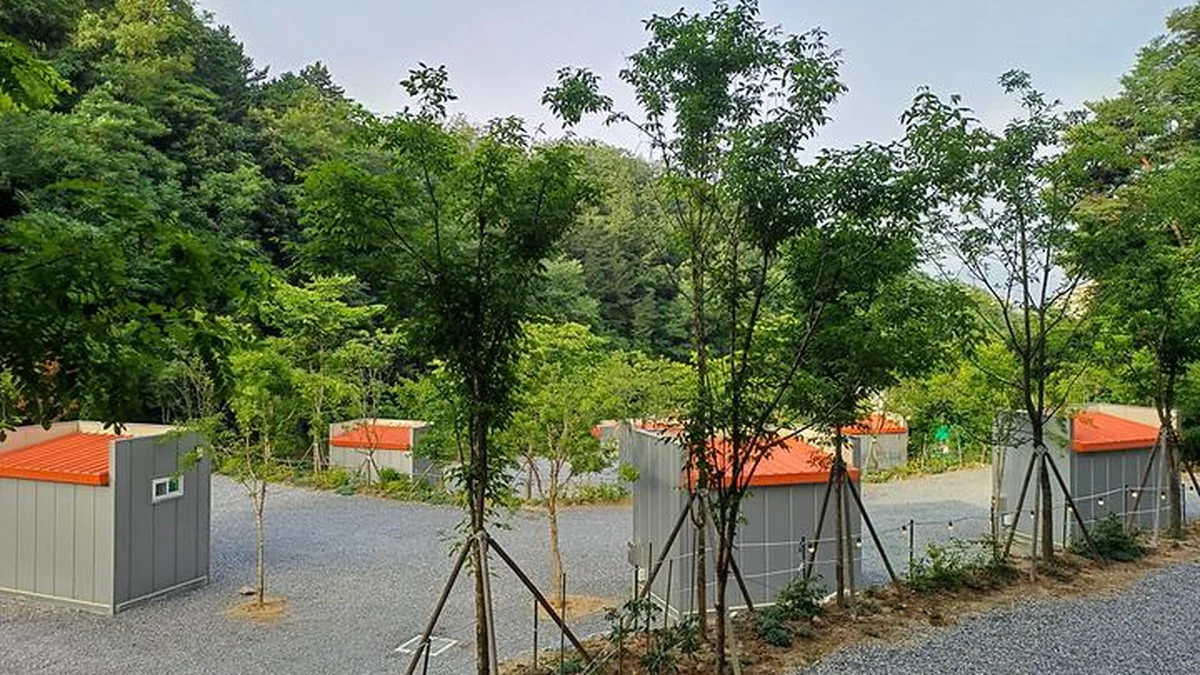 몽상핀