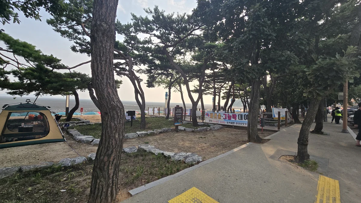 동막리 마을회