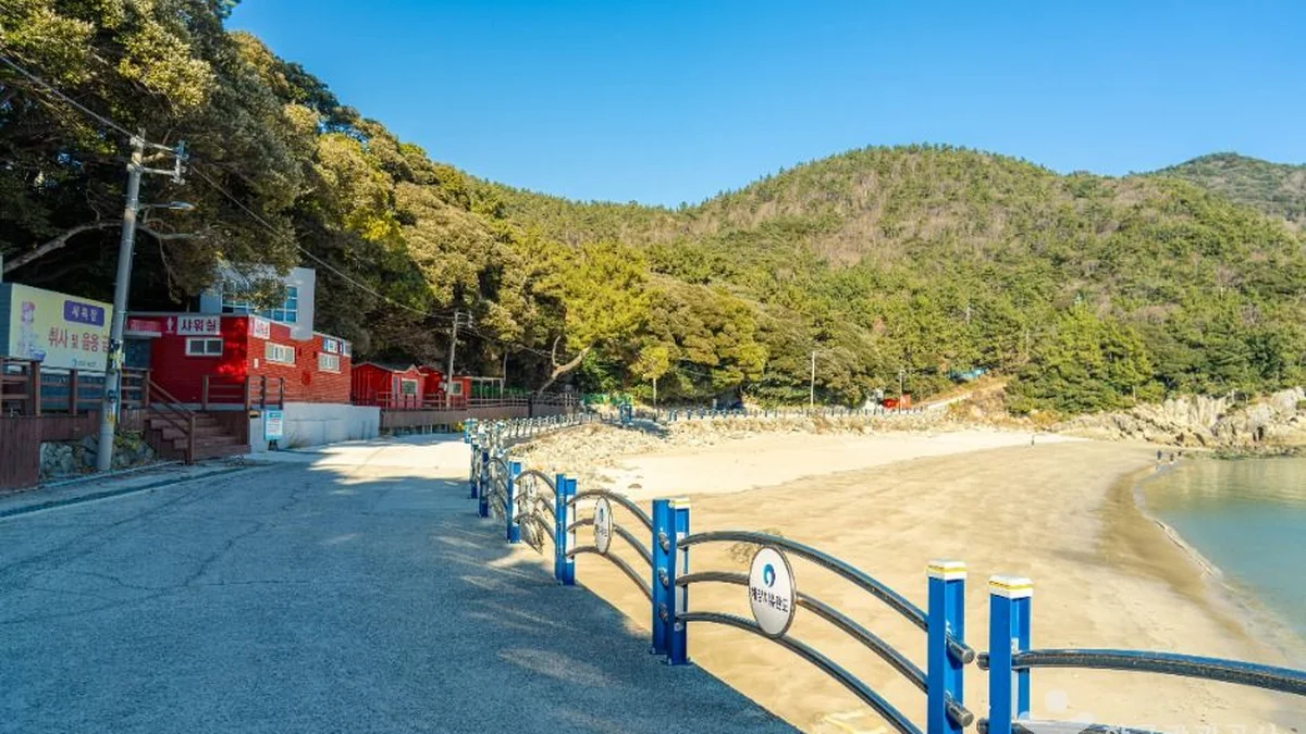 가사동백숲해변