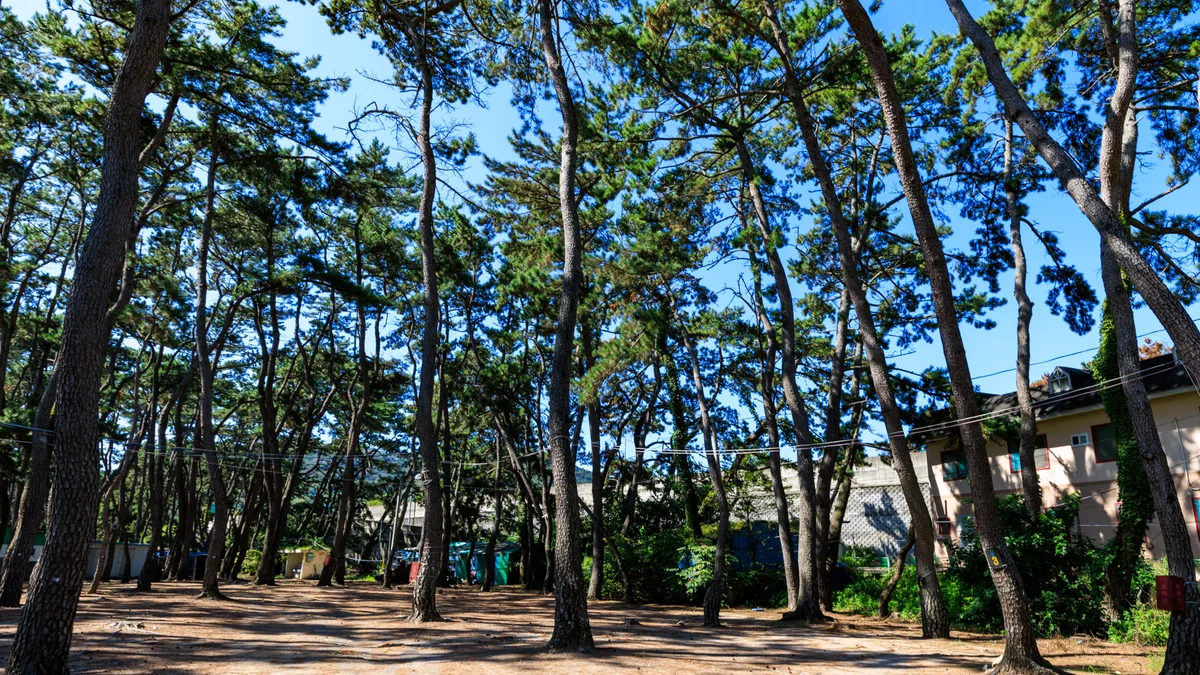 송림오토캠핑장