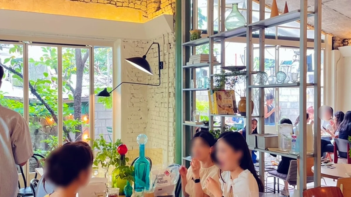 꽁티드툴레아