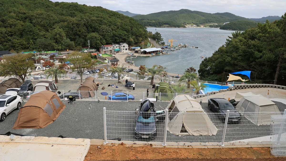 더 숨 포레스트