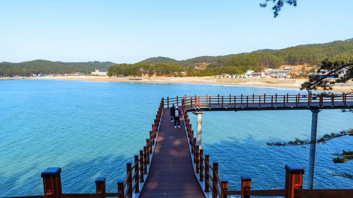 천리포해수욕장