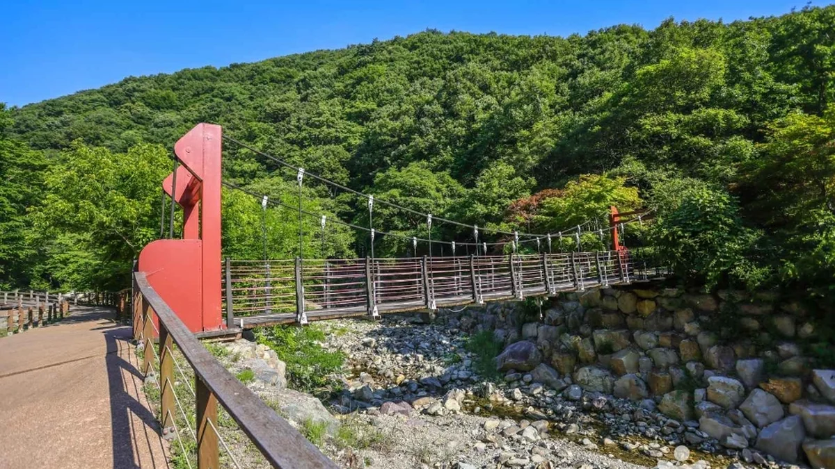 장안사계곡