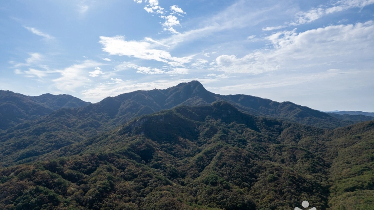 대야산