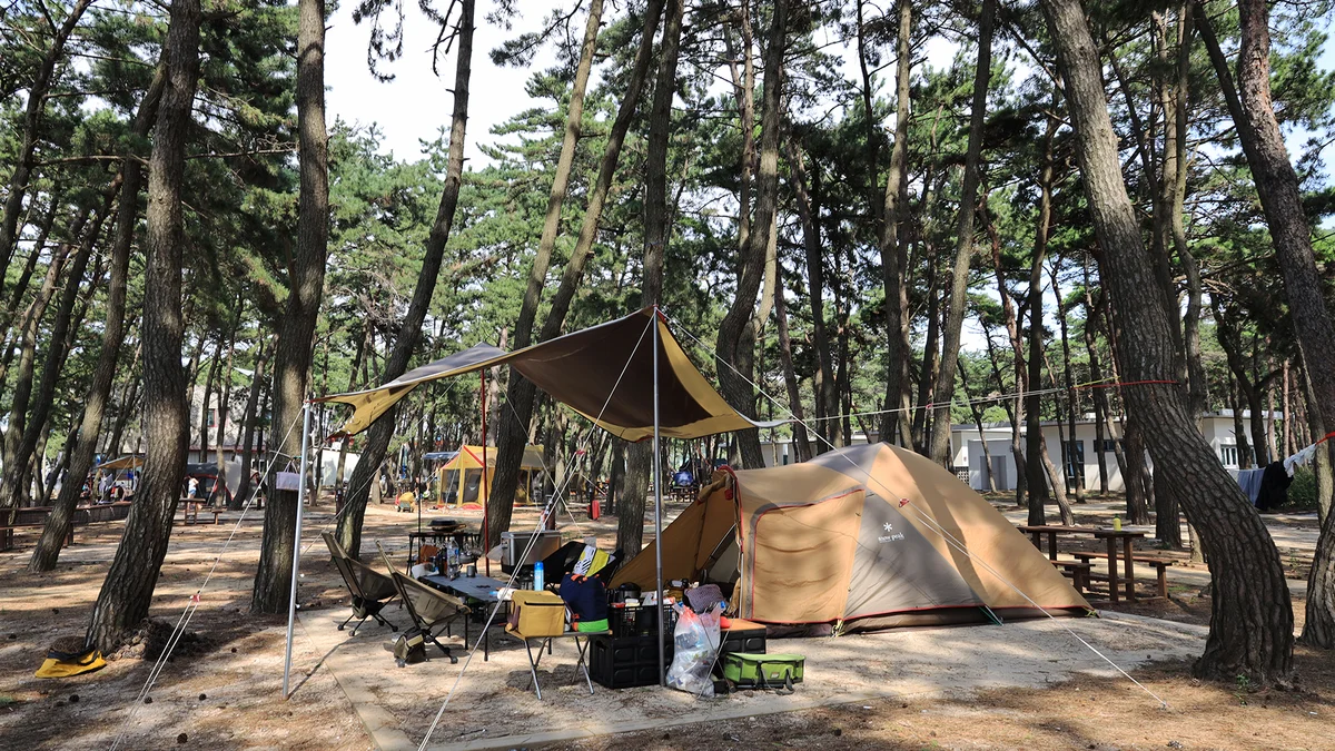 고사포야영장