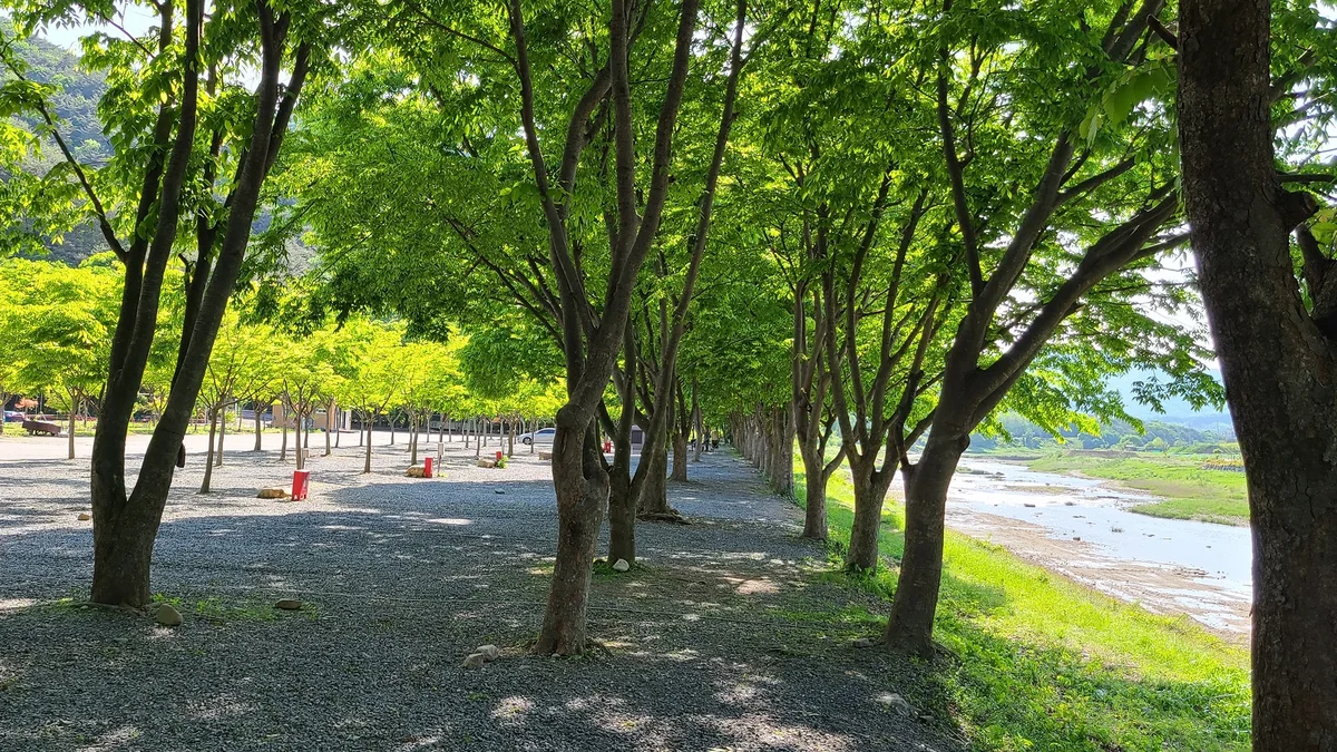 써니밸리오토캠핑장