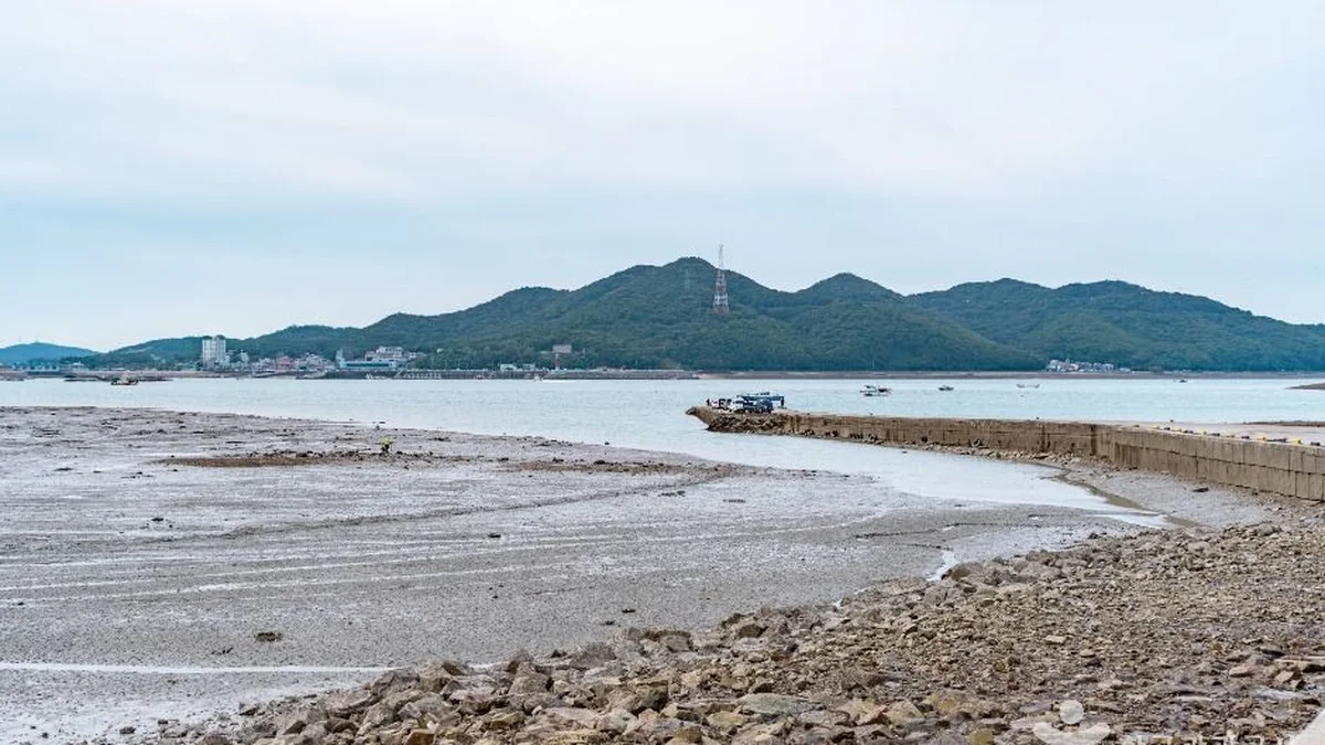 도비도항