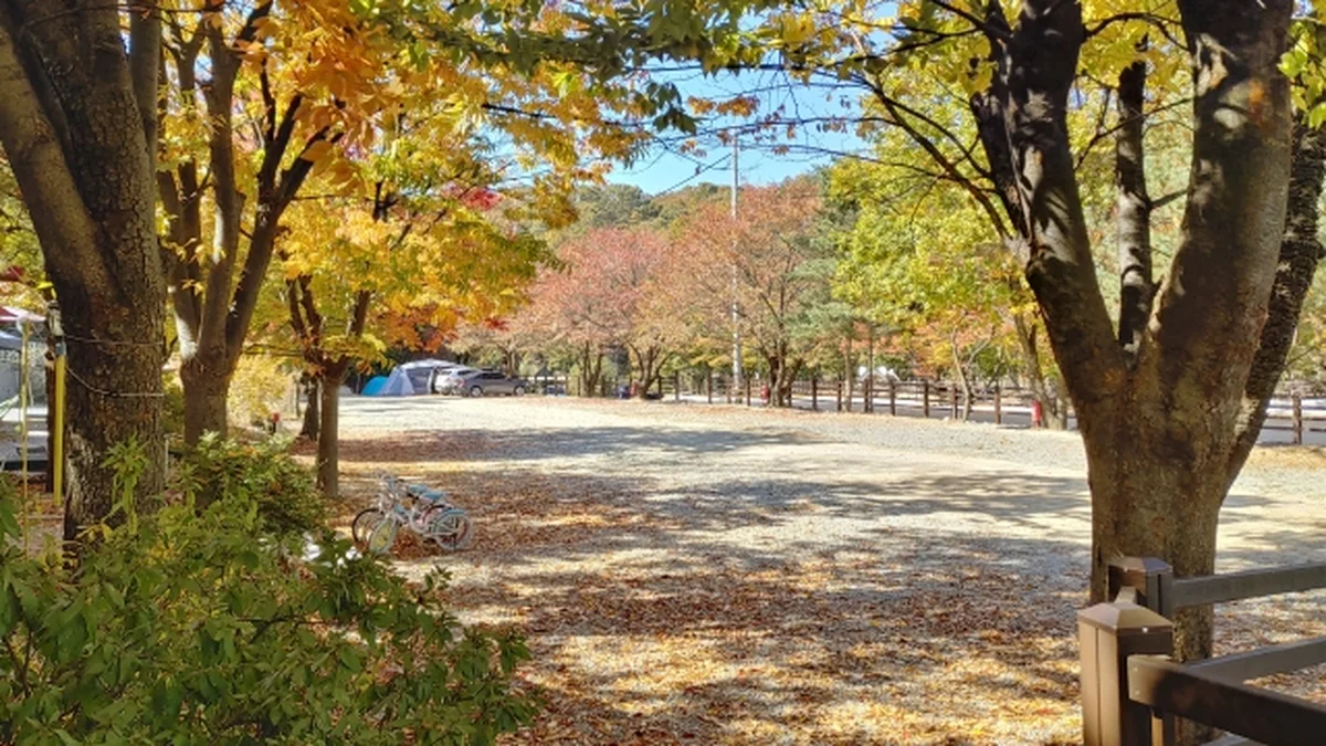 기산골캠핑장