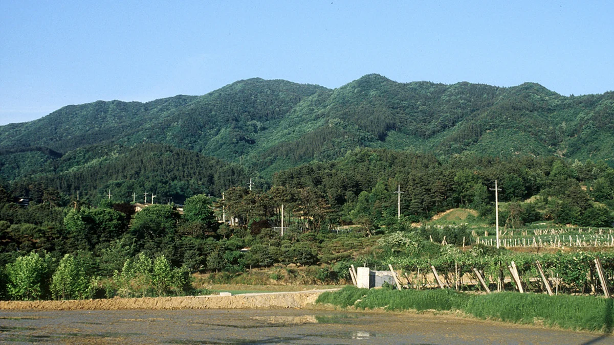서운산성