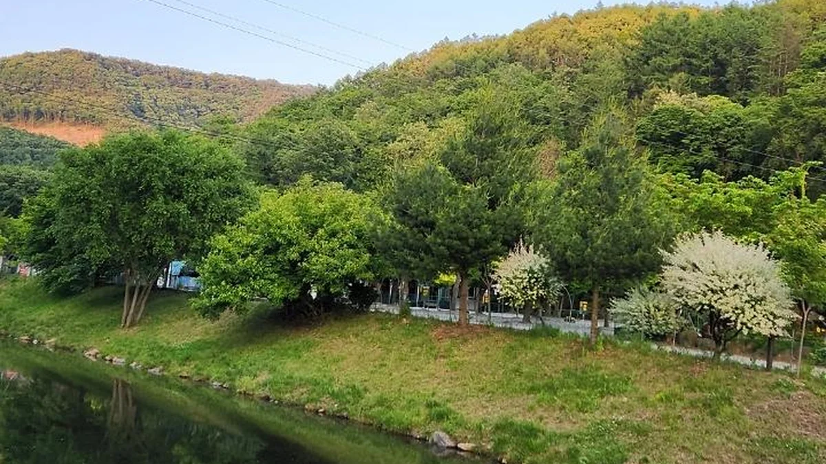 속리산알프스캠핑장&펜션