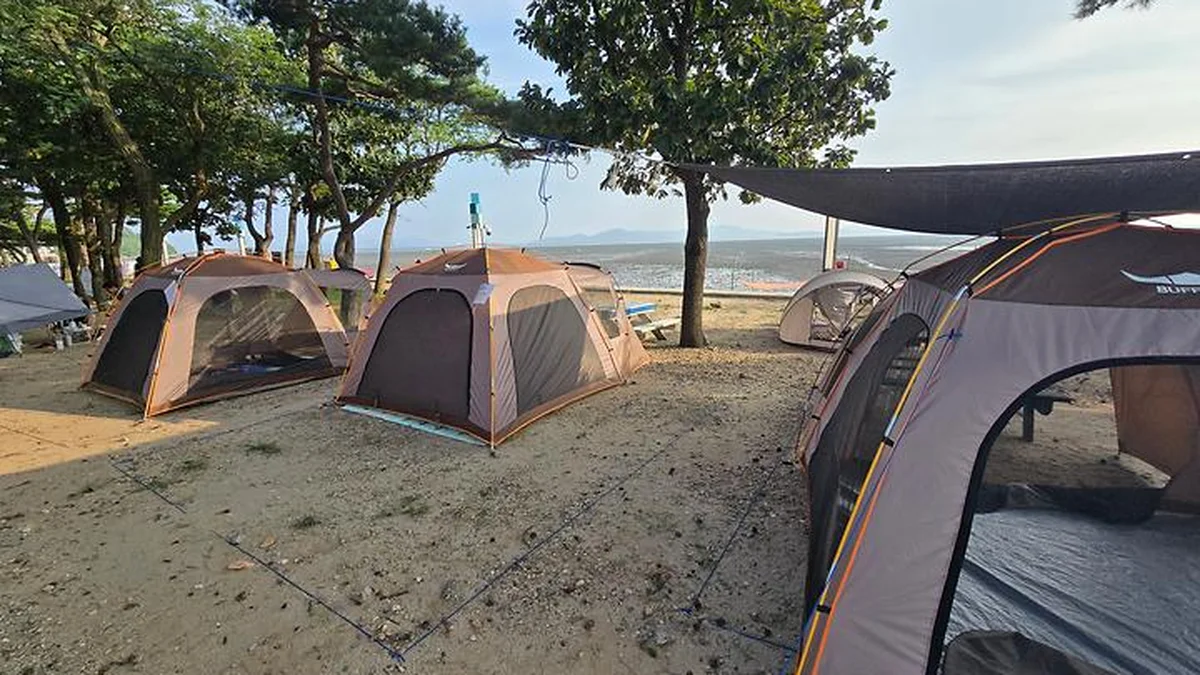동막리 마을회