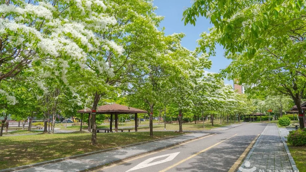 수원어린이교통공원