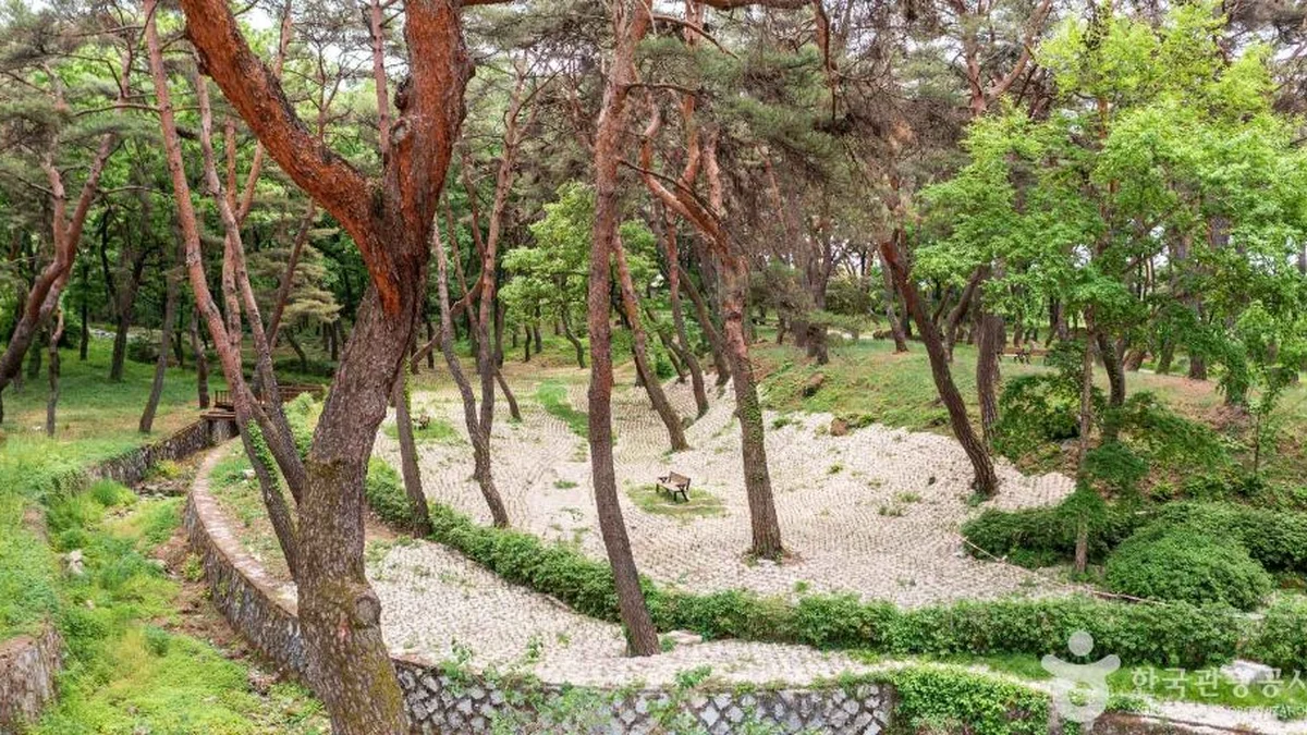 동호숲
