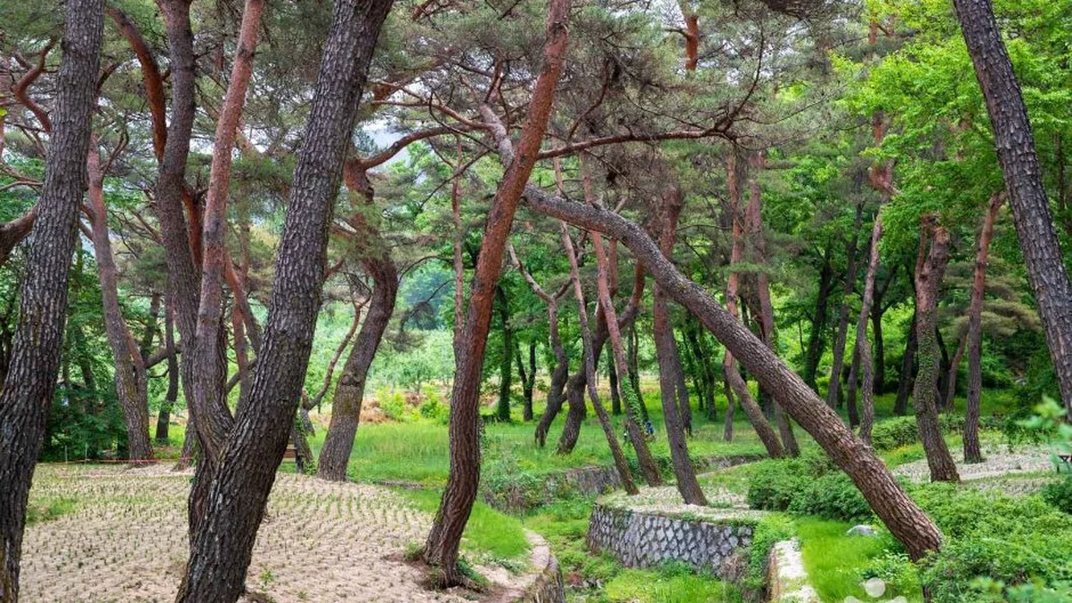 동호숲