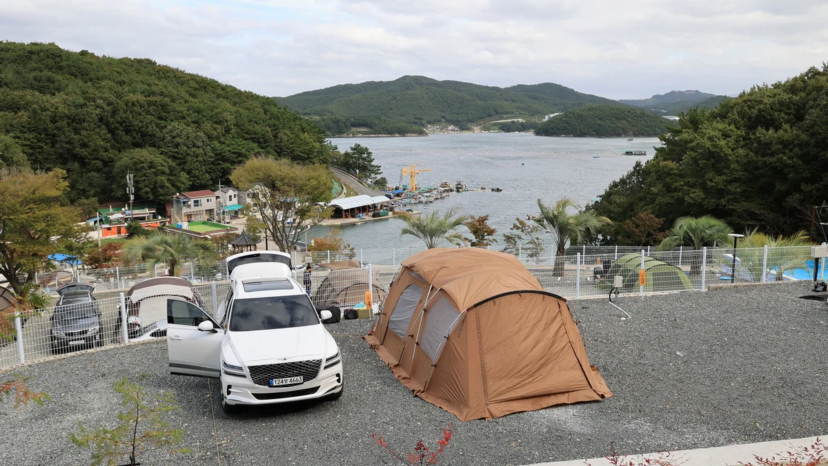 더 숨 포레스트