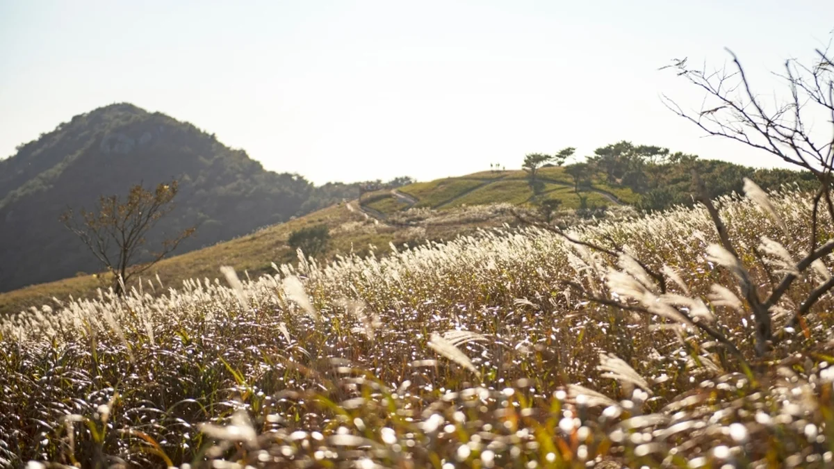 승학산