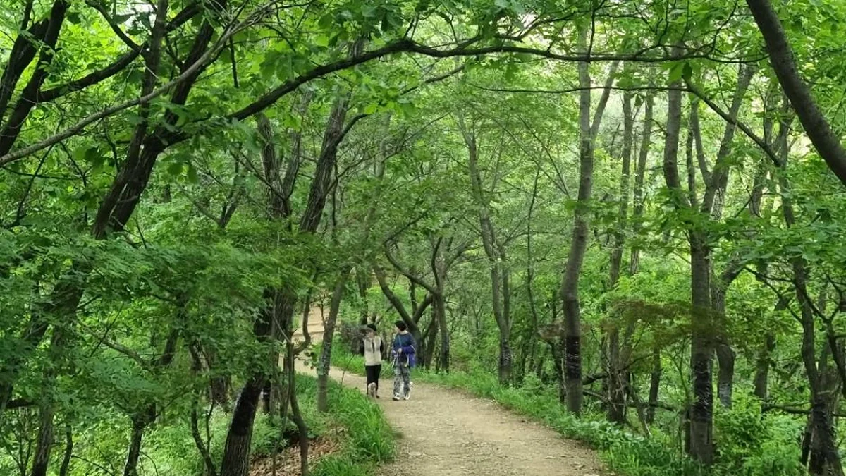 [서울둘레길 16코스] 봉산·앵봉산코스