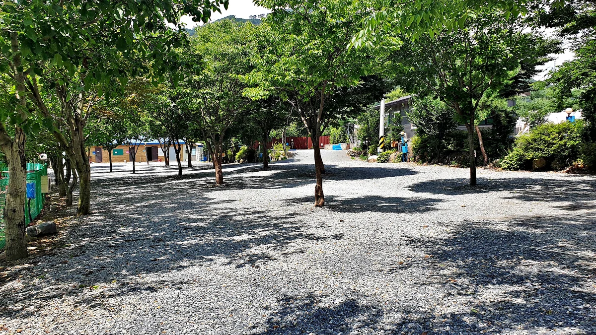 소백산오토캠핑장
