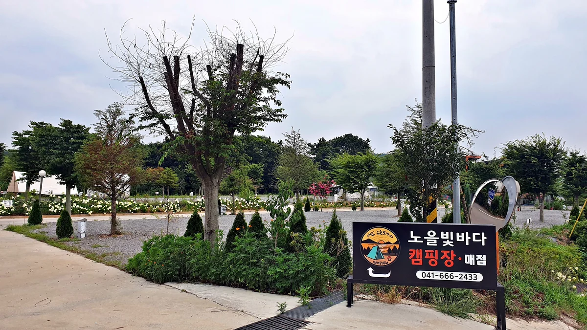 노을빛바다 캠핑장B