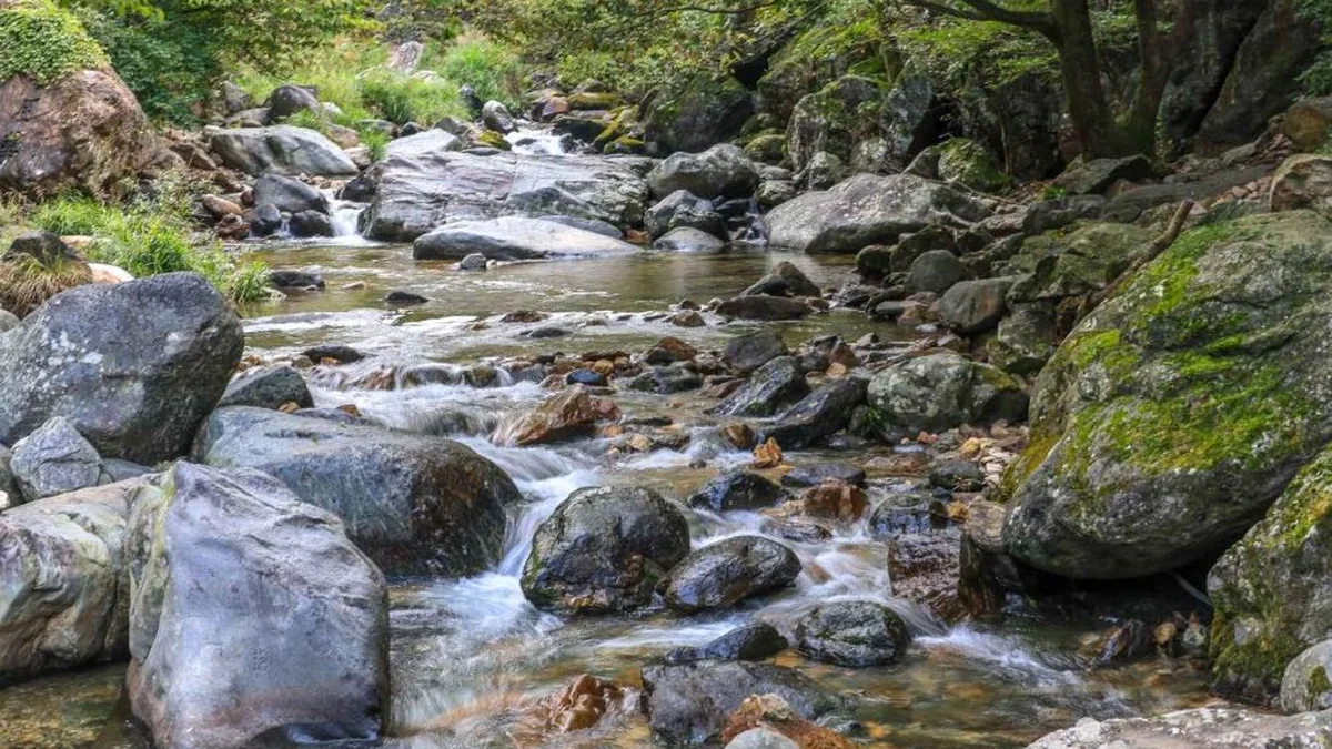 사나사 계곡