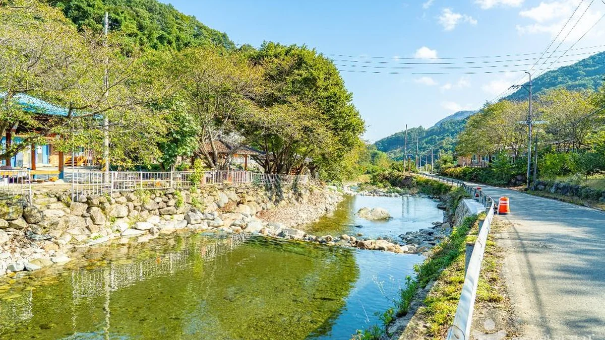 고운동계곡