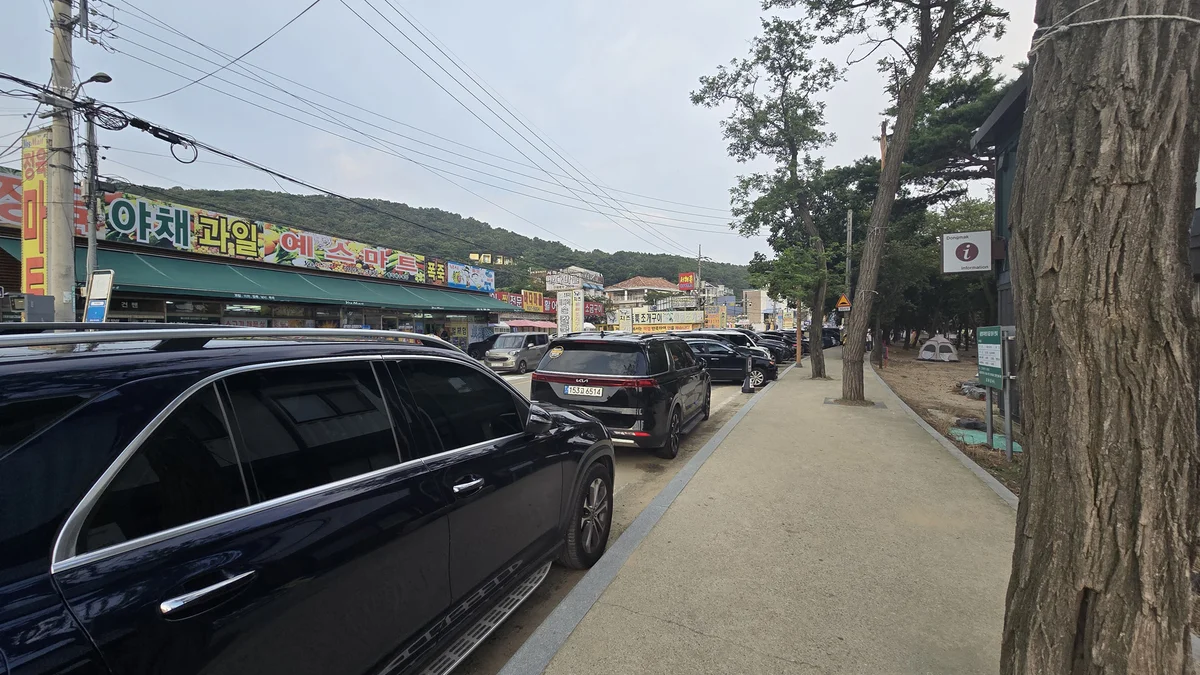 동막리 마을회
