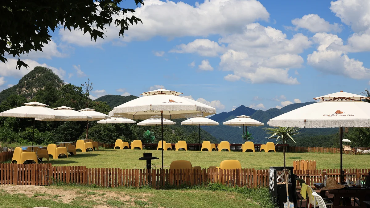 캐닌힐포레스트