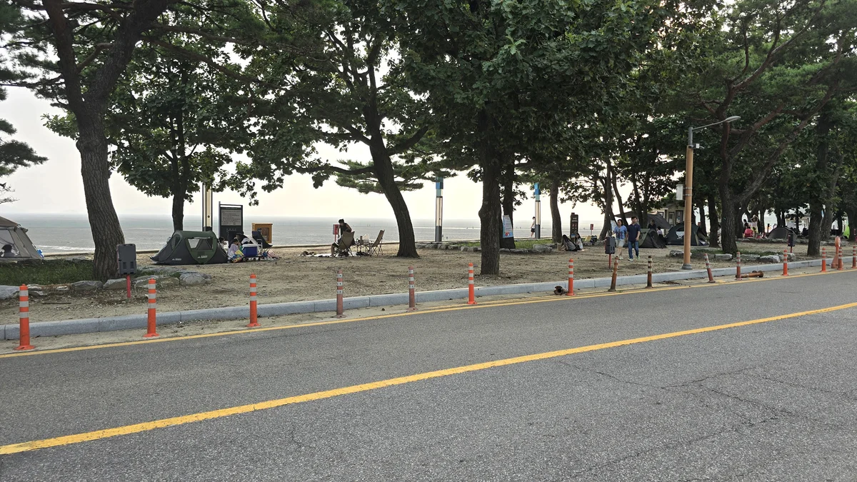 동막리 마을회