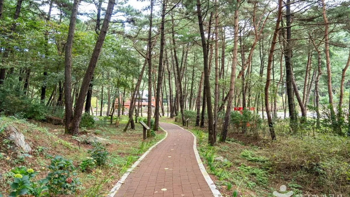 서천 치유의 숲