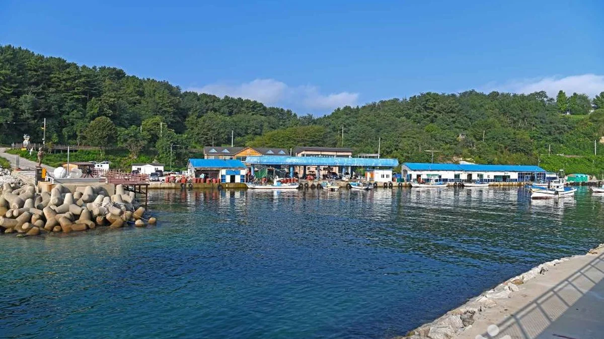 초도항