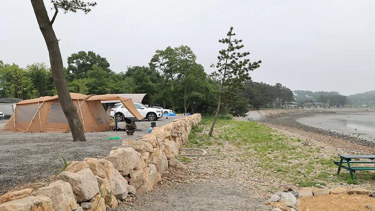태안머드오토캠핑