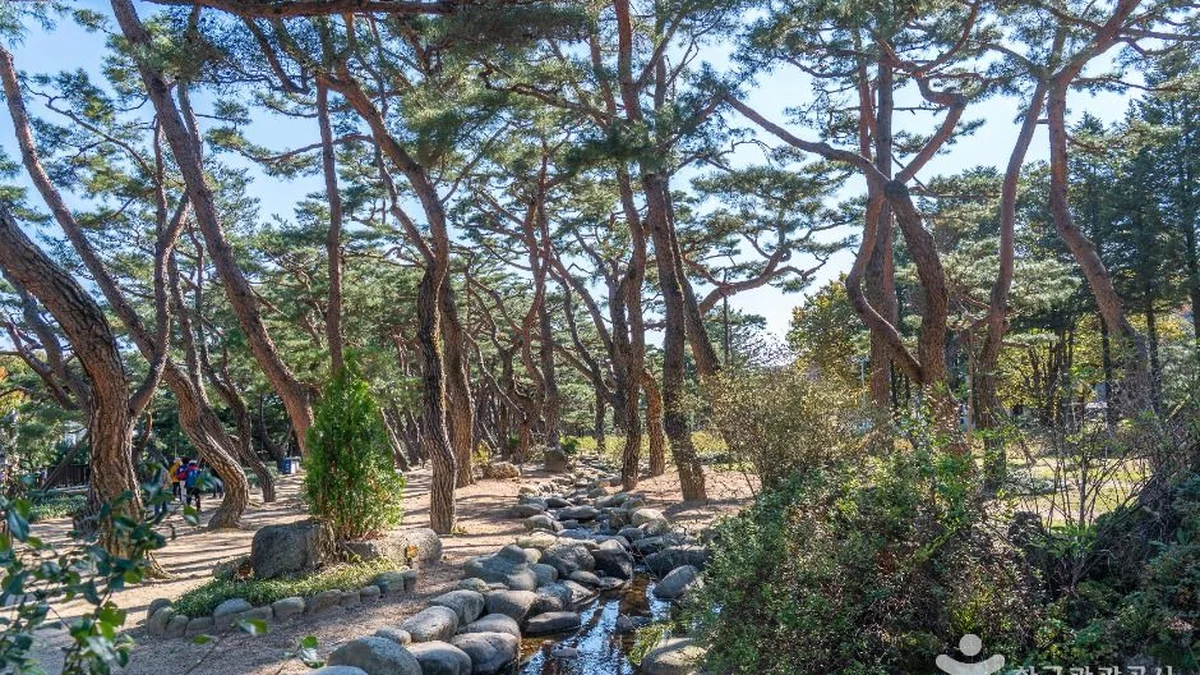 의림지 솔밭공원