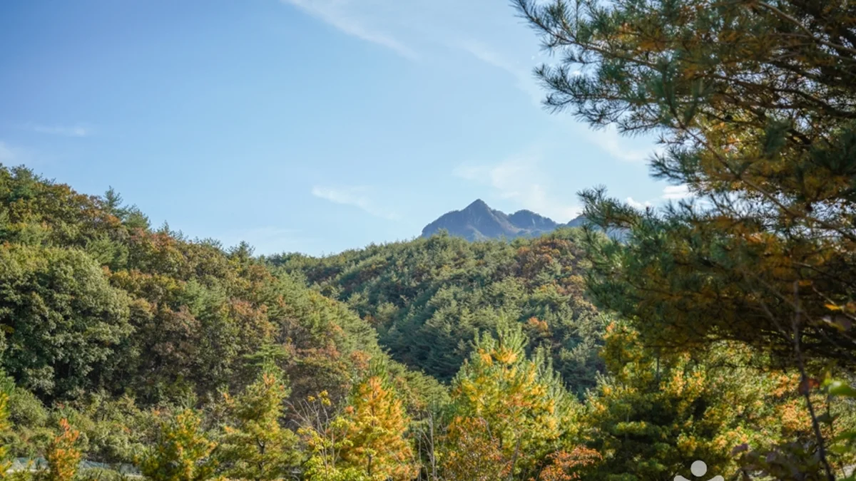 대야산